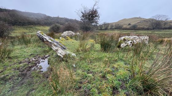 Rossinure Beg (Court Tomb)