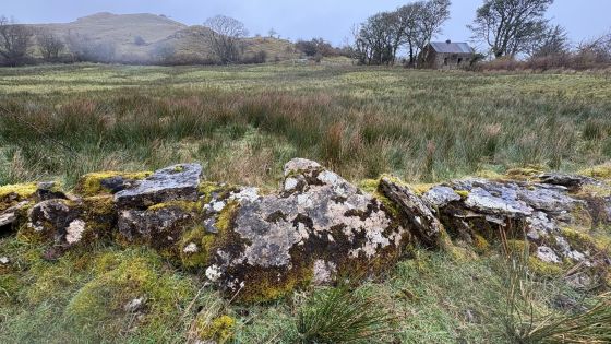 Rossinure Beg (Court Tomb)