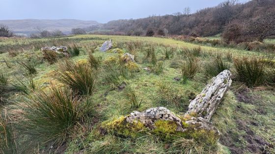 Rossinure Beg (Court Tomb)