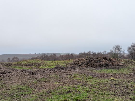 Longside Moor (Round Barrow(s))