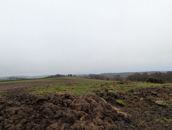 Longside Moor (Round Barrow(s))