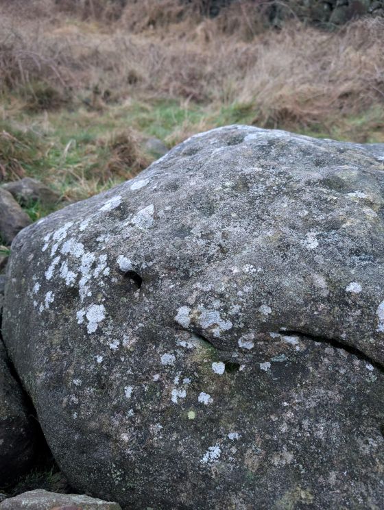 Holymoorside (Cup and Ring Marks / Rock Art)