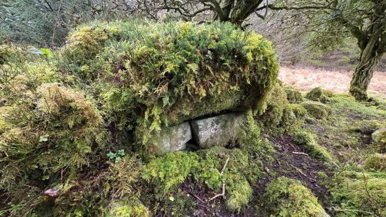 Dog Little (Court Tomb)
