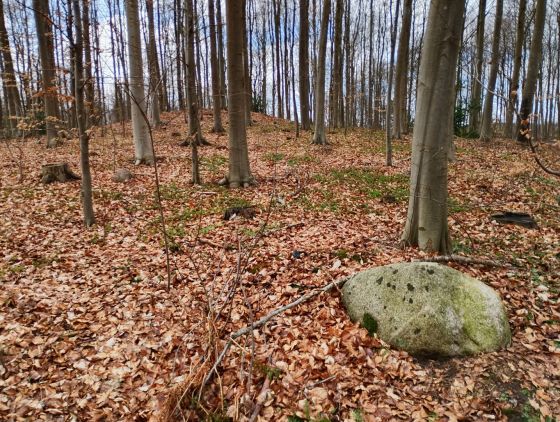 Margretelund Skov (Artificial Mound)
