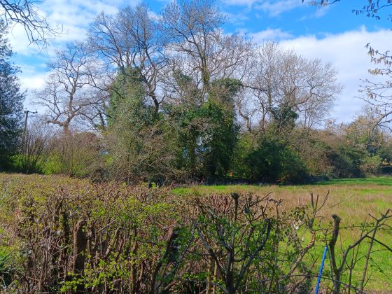 Harborough Banks (Hillfort)