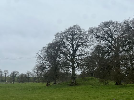 Portloman (Round Barrow(s))