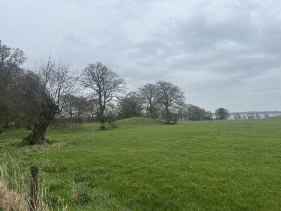 Portloman (Round Barrow(s))