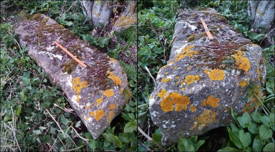 Cuddesdon Stones (Standing Stones)