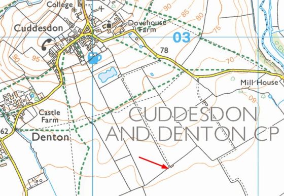 Cuddesdon Stones (Standing Stones)