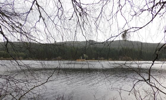 Loch Leathan (Crannog)