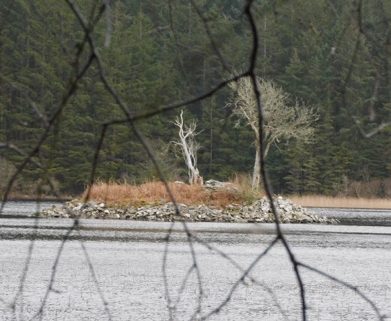Loch Leathan (Crannog)