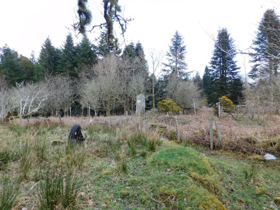 Stane Alane (Standing Stone / Menhir)