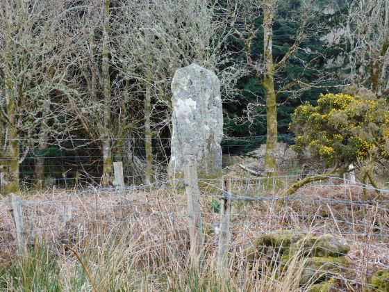 Stane Alane (Standing Stone / Menhir)