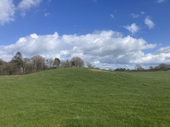 Whitestown Farm (Barrow / Cairn Cemetery)