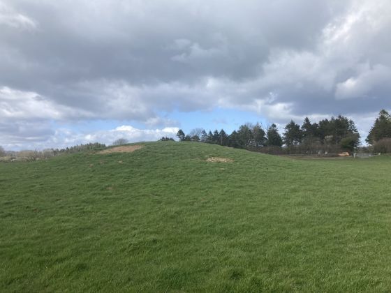 Whitestown Farm (Barrow / Cairn Cemetery)