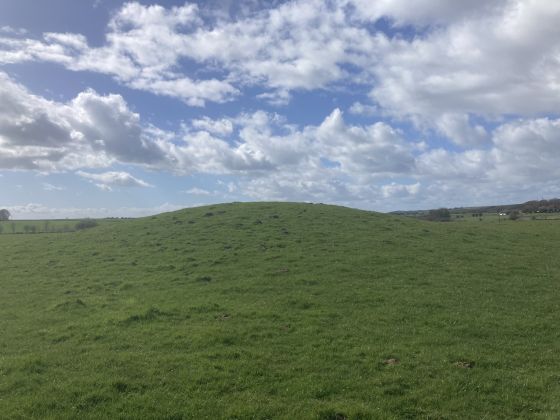 Whitestown Farm (Barrow / Cairn Cemetery)