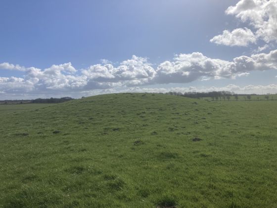 Whitestown Farm (Barrow / Cairn Cemetery)