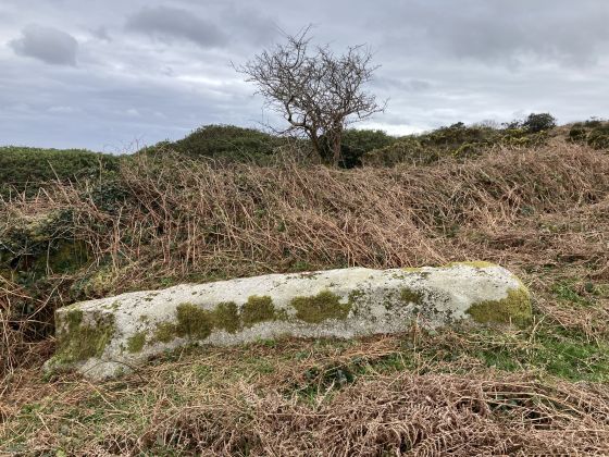 Carfury N (Standing Stone / Menhir)