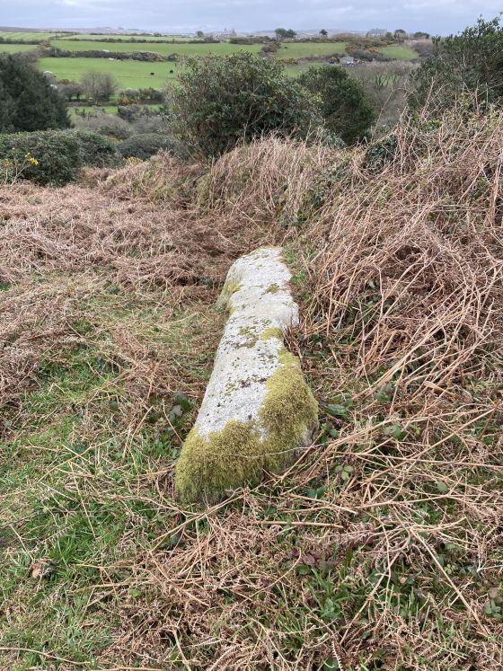 Carfury N (Standing Stone / Menhir)