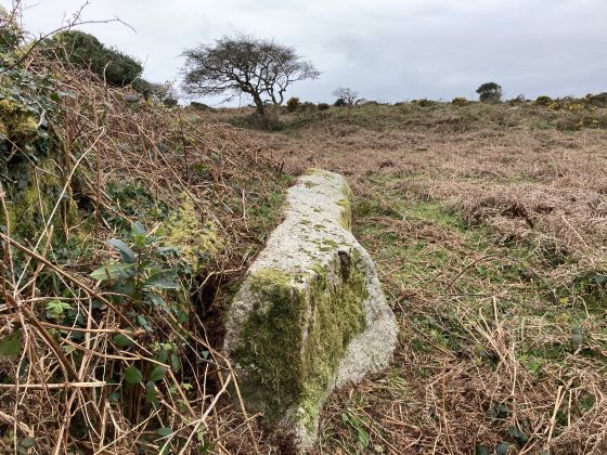 Carfury N (Standing Stone / Menhir)