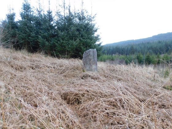 Barmolloch (Standing Stone / Menhir)