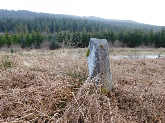 Barmolloch (Standing Stone / Menhir)