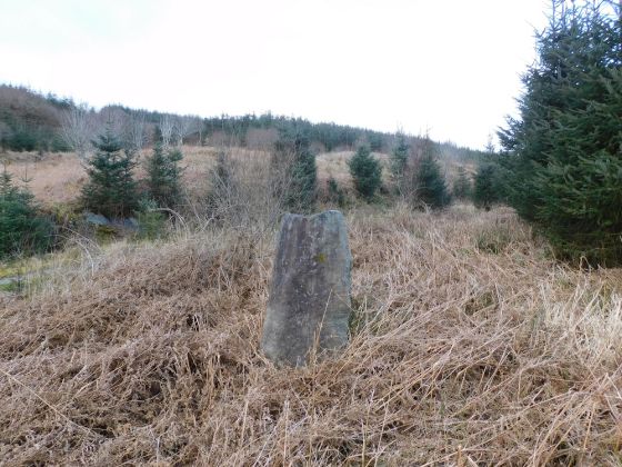 Barmolloch (Standing Stone / Menhir)