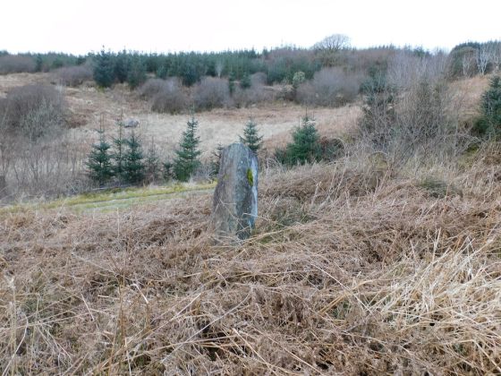 Barmolloch (Standing Stone / Menhir)