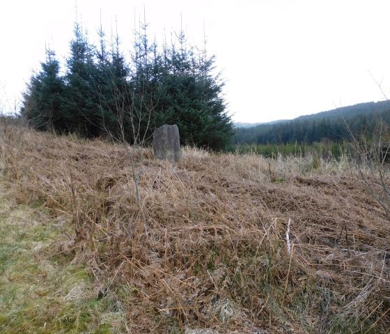 Barmolloch (Standing Stone / Menhir)