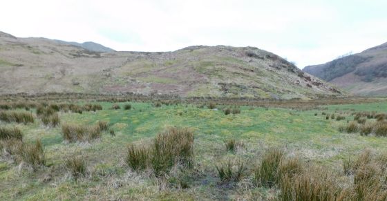 Tigh A’ Charnain 2 (Cairn(s))