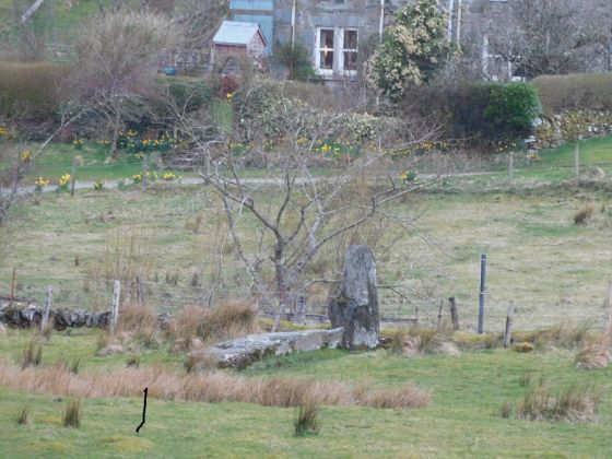 Creagantairbh Beag (Standing Stone / Menhir)