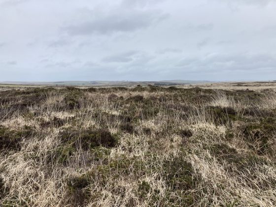 Boskednan N Cairn B (Cairn(s))