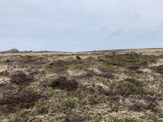 Boskednan N Cairn B (Cairn(s))