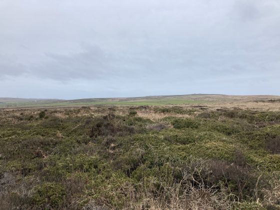 Boskednan N Cairn B (Cairn(s))