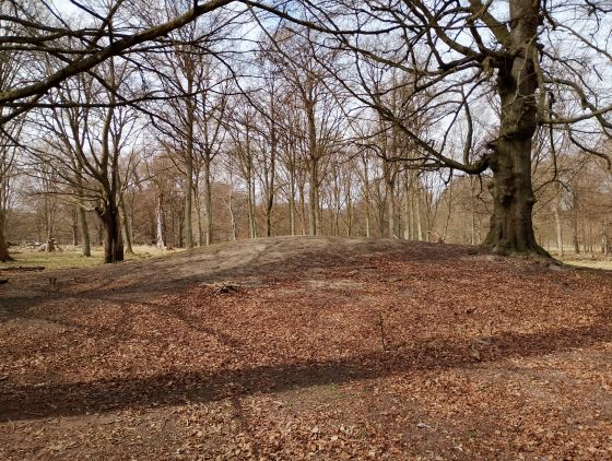 Jægersborg Dyrehave (3030102) (Artificial Mound)