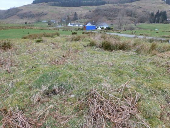 Tigh A’ Charnain 3 (Cairn(s))