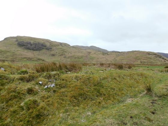 Tigh A’ Charnain 3 (Cairn(s))