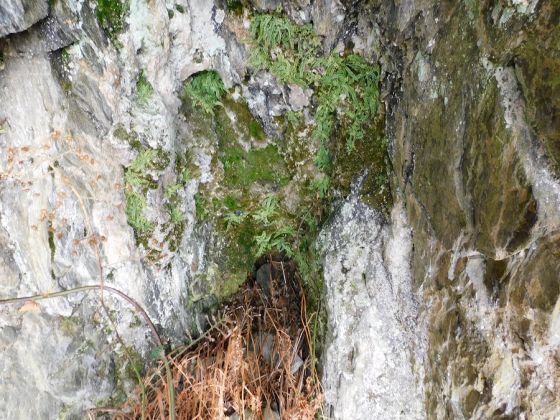Crinan Cave