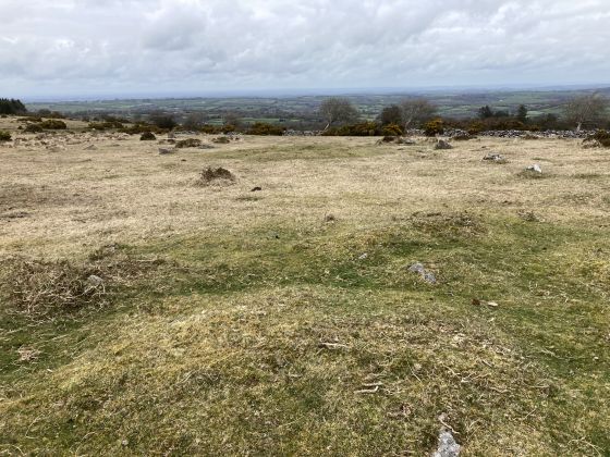 Gidleigh Common (Cairn(s))