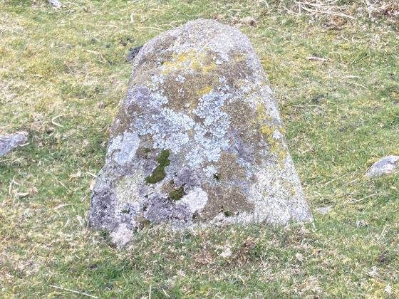 Gidleigh Common (Cairn(s))