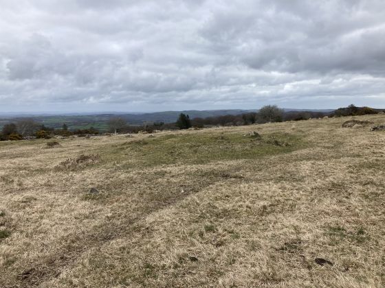 Gidleigh Common (Cairn(s))