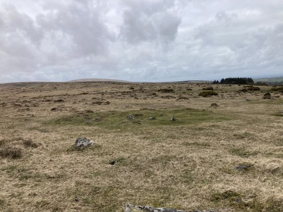 Gidleigh Common (Cairn(s))