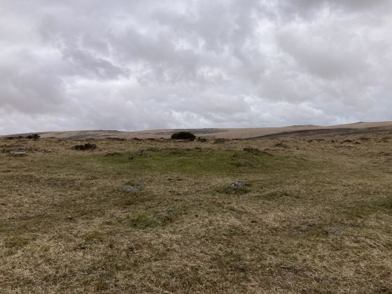Gidleigh Common (Cairn(s))