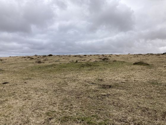Gidleigh Common (Cairn(s))