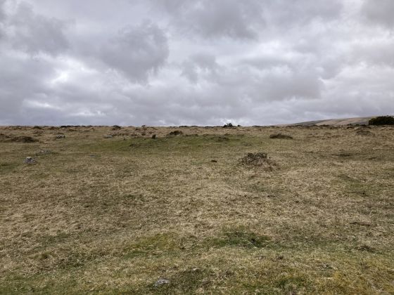 Gidleigh Common (Cairn(s))
