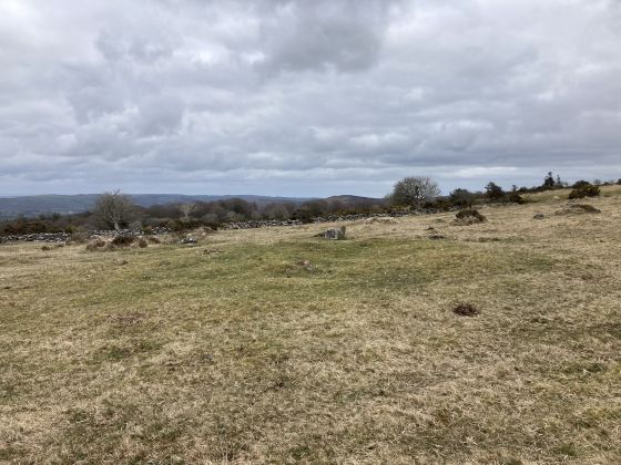 Gidleigh Common (Cairn(s))