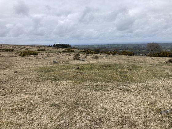 Gidleigh Common (Cairn(s))