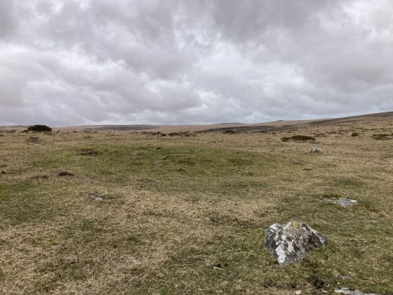 Gidleigh Common (Cairn(s))