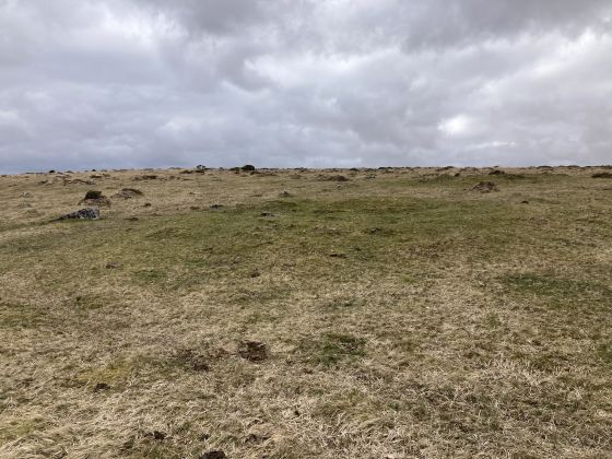 Gidleigh Common (Cairn(s))