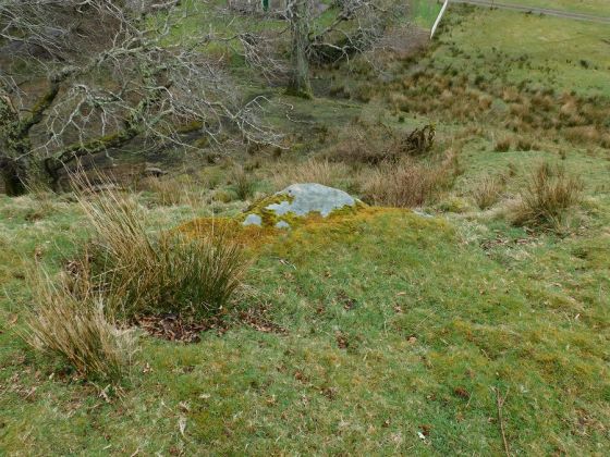 Bruach na Cuirte (Cist)